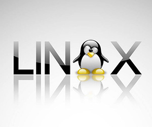 Linux系统工程师